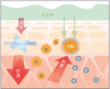 メカニズム